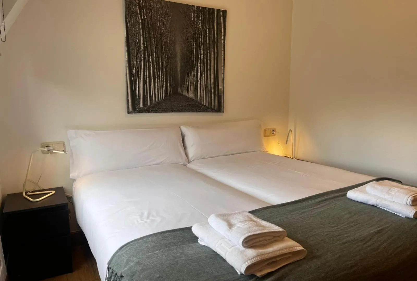 Centenario San Sebastian Apartment